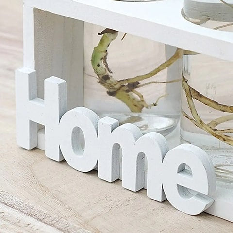 Cadre avec Soliflores Home