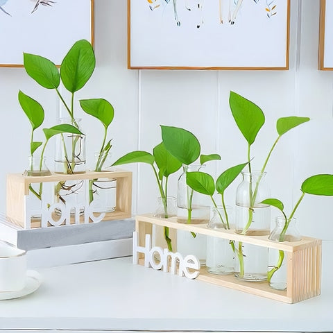 Cadre avec Soliflores Home