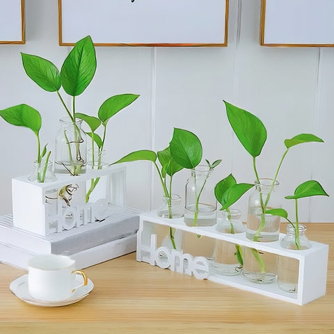 Cadre avec Soliflores Home