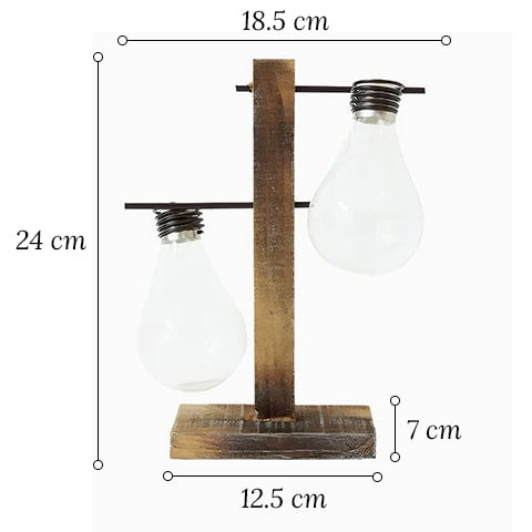Soliflore Ampoule avec Support Socle