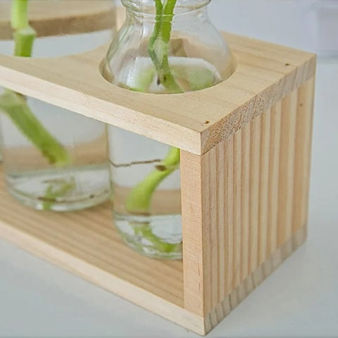 Cadre avec Soliflores Home