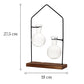 Soliflore Boule Suspendue Encadrement Maison