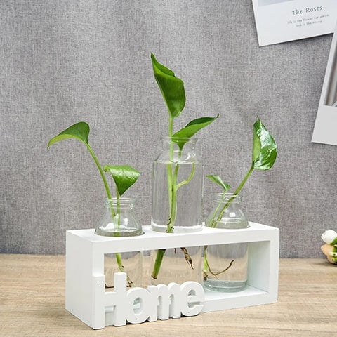 Cadre avec Soliflores Home