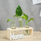 Cadre avec Soliflores Home