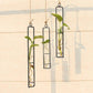 Soliflore Design Tube Suspendu