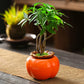 Soliflore Forme Kaki Fruit Exotique