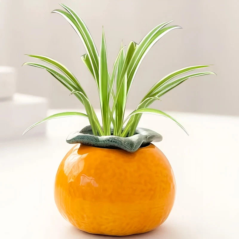 Soliflore en Forme d'Orange