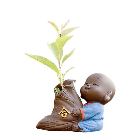 Soliflore Petit Moine Heureux