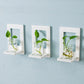 Soliflore en Plastique Mural Géométrique