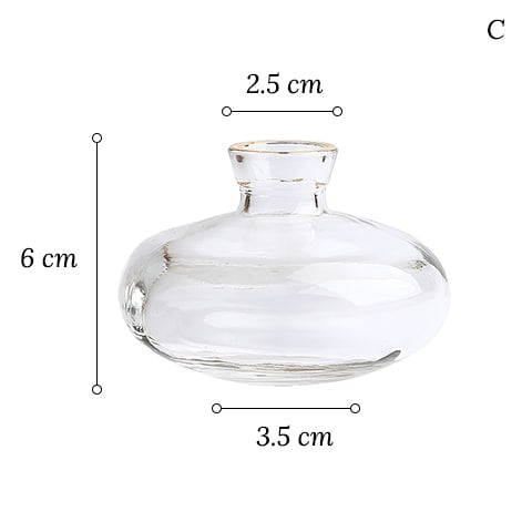 Soliflore Transparent Liseré Gold
