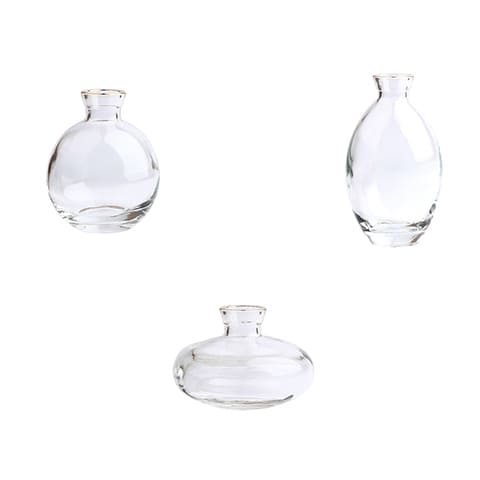 Soliflore Transparent Liseré Gold