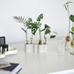 Soliflore Tubes Ikebana