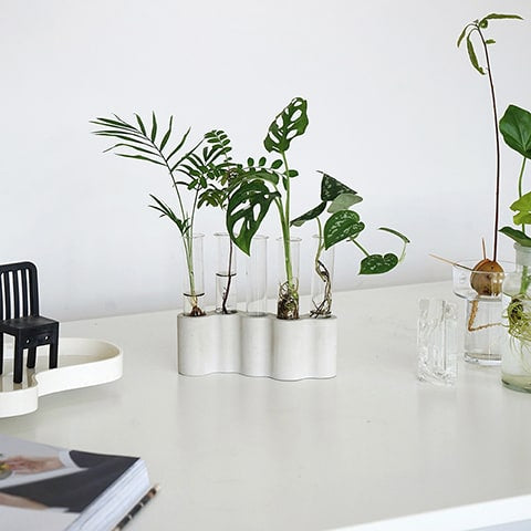 Soliflore Tubes Ikebana