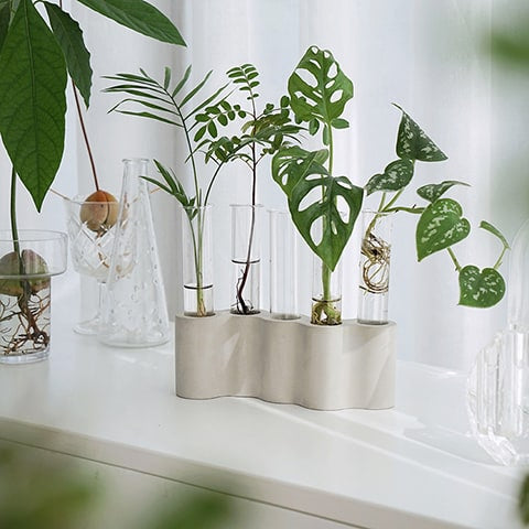 Soliflore Tubes Ikebana
