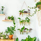Soliflore Vertical Mural Multi Tubes