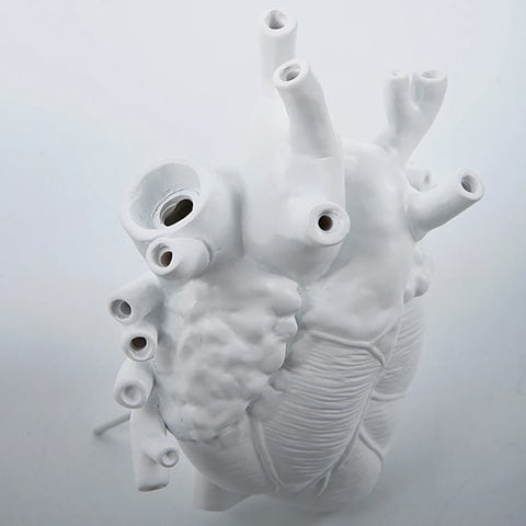 Vase Cœur Humain Blanc