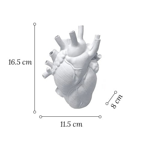 Vase Cœur Humain Blanc