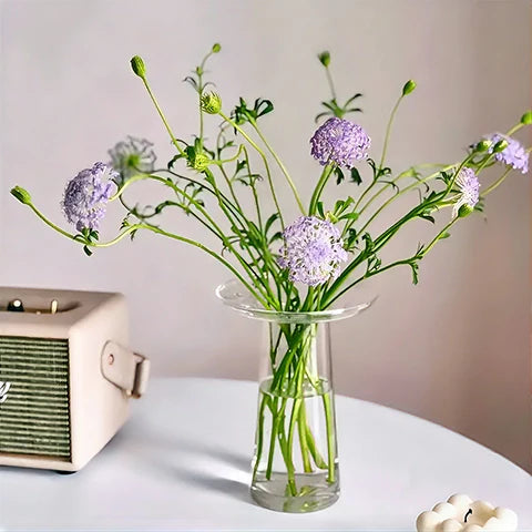 Vase Collerette Simple Décoratif