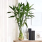 Vase Cylindrique Décoratif