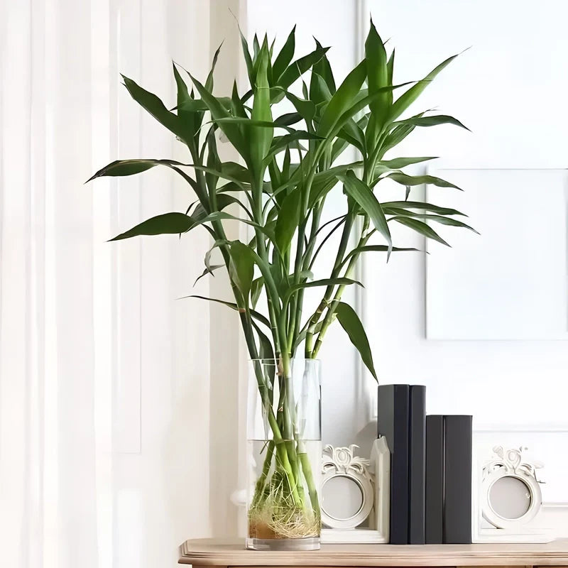 Vase Cylindrique Décoratif