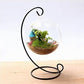Vase en Verre Boule Suspendue sur Pied