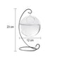 Vase en Verre Boule Suspendue sur Pied