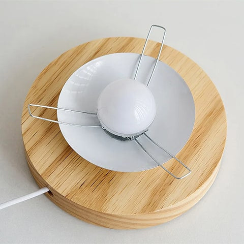 Vase Lampe Romantique pour Fleurs Séchées
