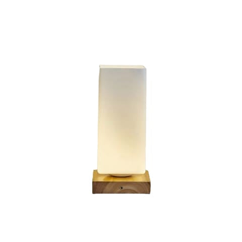 Vase Lampe Romantique pour Fleurs Séchées