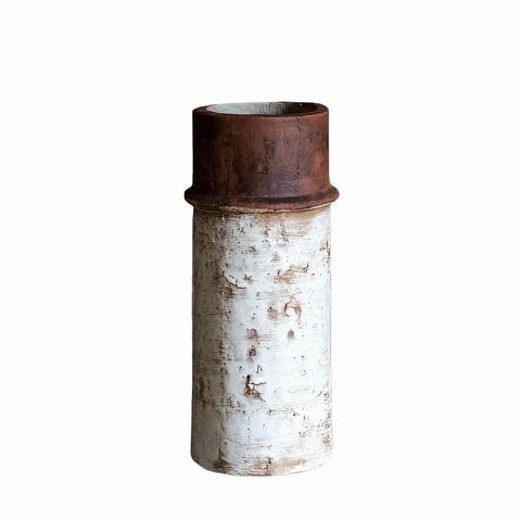 Vase Rétro Multiforme Bicolore
