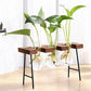 Vase Soliflore Bulle avec Plateau en Bois