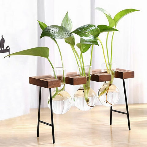 Vase Soliflore Bulle avec Plateau en Bois