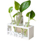 Cadre avec Soliflores Home