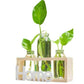 Cadre avec Soliflores Home