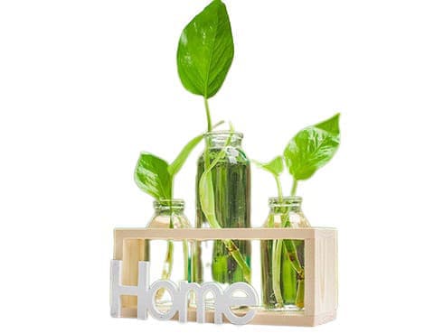 Cadre avec Soliflores Home
