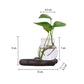 Vase Soliflore Chat Joyeux Porte Bonheur