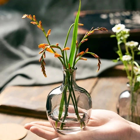 Vase Soliflore Mini Dame Jeanne