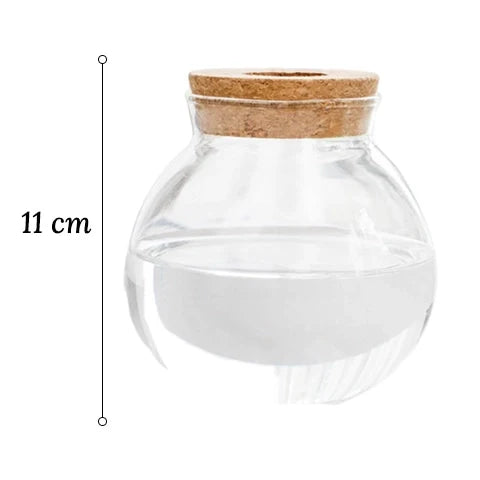 Vase Soliflore Transparent Bouchon Liège