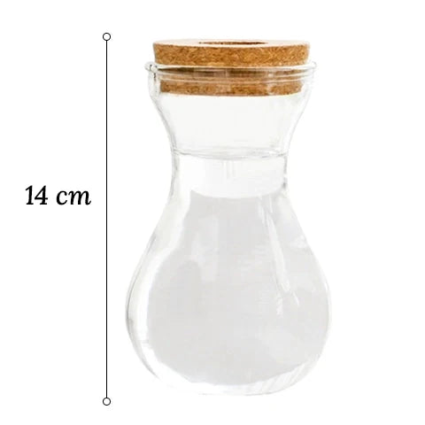 Vase Soliflore Transparent Bouchon Liège