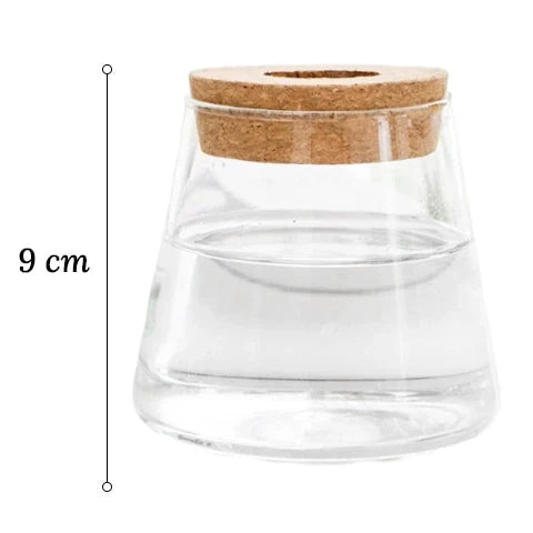Vase Soliflore Transparent Bouchon Liège