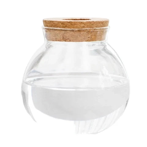 Vase Soliflore Transparent Bouchon Liège