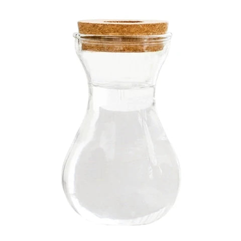 Vase Soliflore Transparent Bouchon Liège
