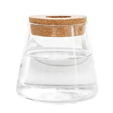 Vase Soliflore Transparent Bouchon Liège