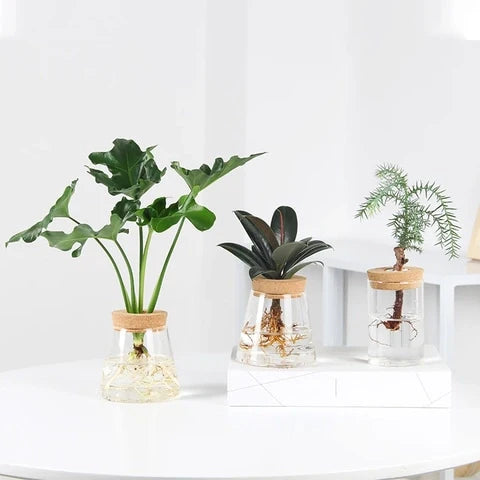 Vase Soliflore Transparent Bouchon Liège
