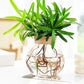 Vase Soliflore Transparent Bouchon Liège