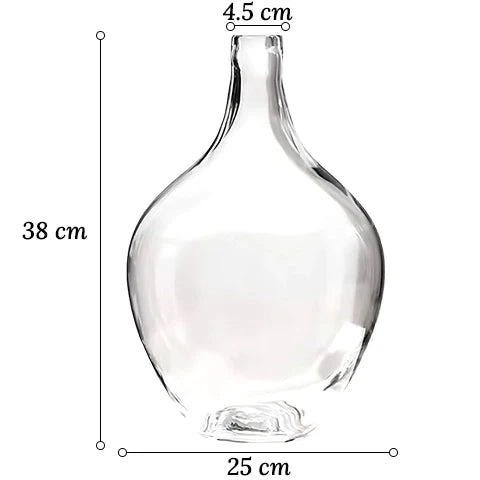 Vase Transparent Dame Jeanne