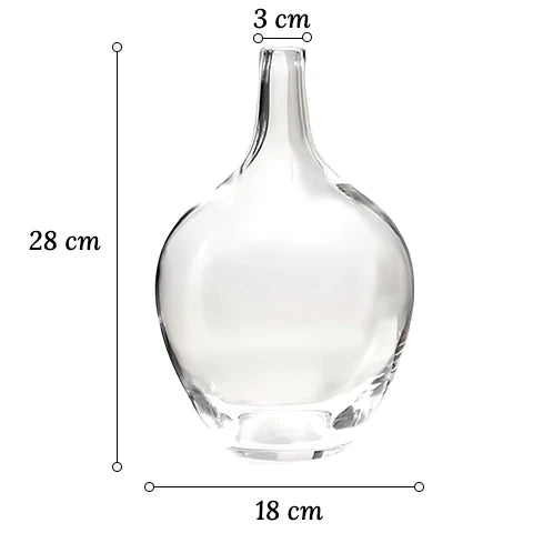 Vase Transparent Dame Jeanne