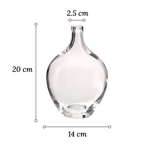 Vase Transparent Dame Jeanne