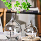 Vase Transparent Dame Jeanne
