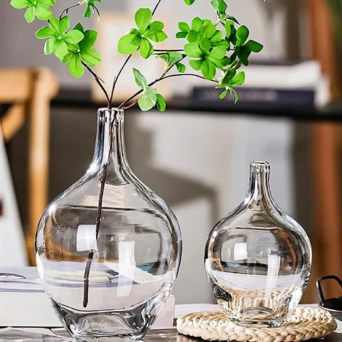 Vase Transparent Dame Jeanne