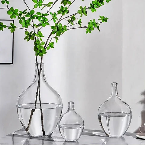 Vase Transparent Dame Jeanne